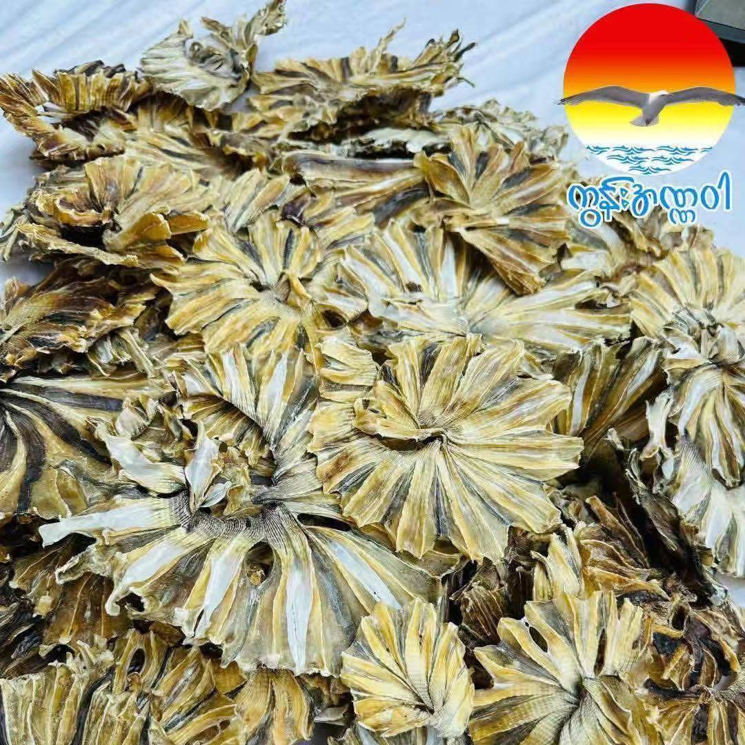 စမခြောက် (၁၀သား)