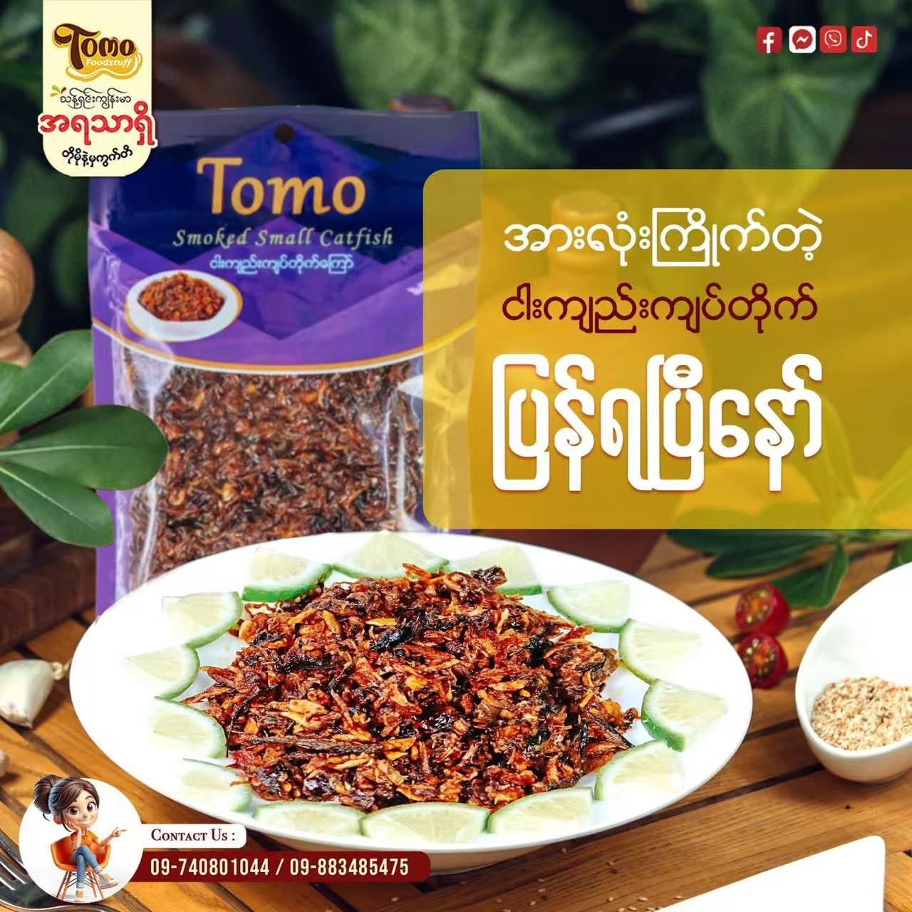 တိုမို ငါးကျည်းကျပ်တိုက်