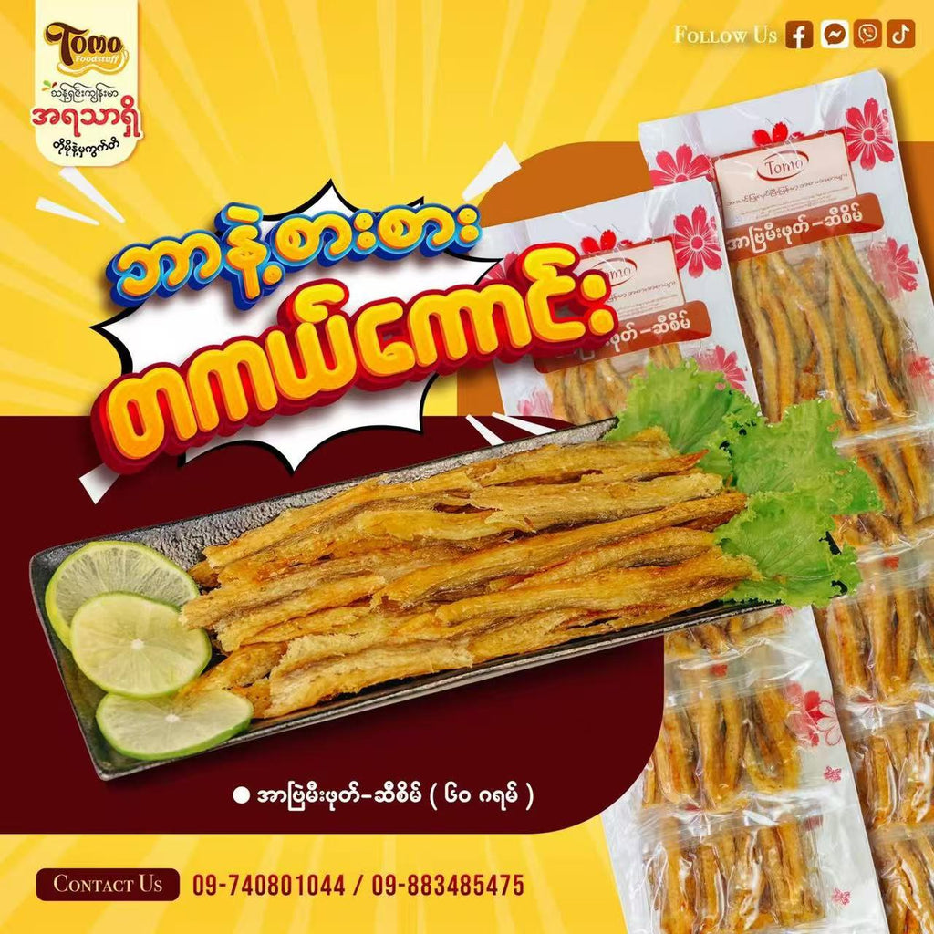 တိုမို အာဗြဲဆီစိမ်