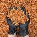 ‌‌ဂျော့ ပုစွန်ခြောက် (၁၀သား)