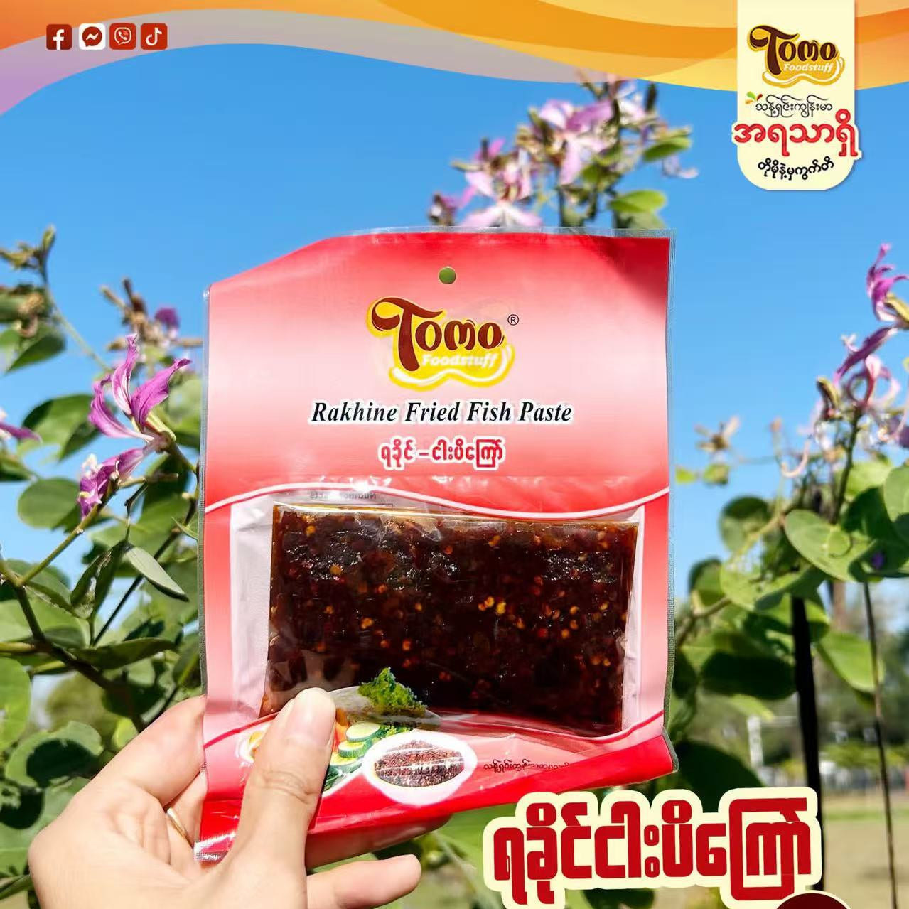 တိုမို ရခိုင်ငံပြာရည်ကြော်